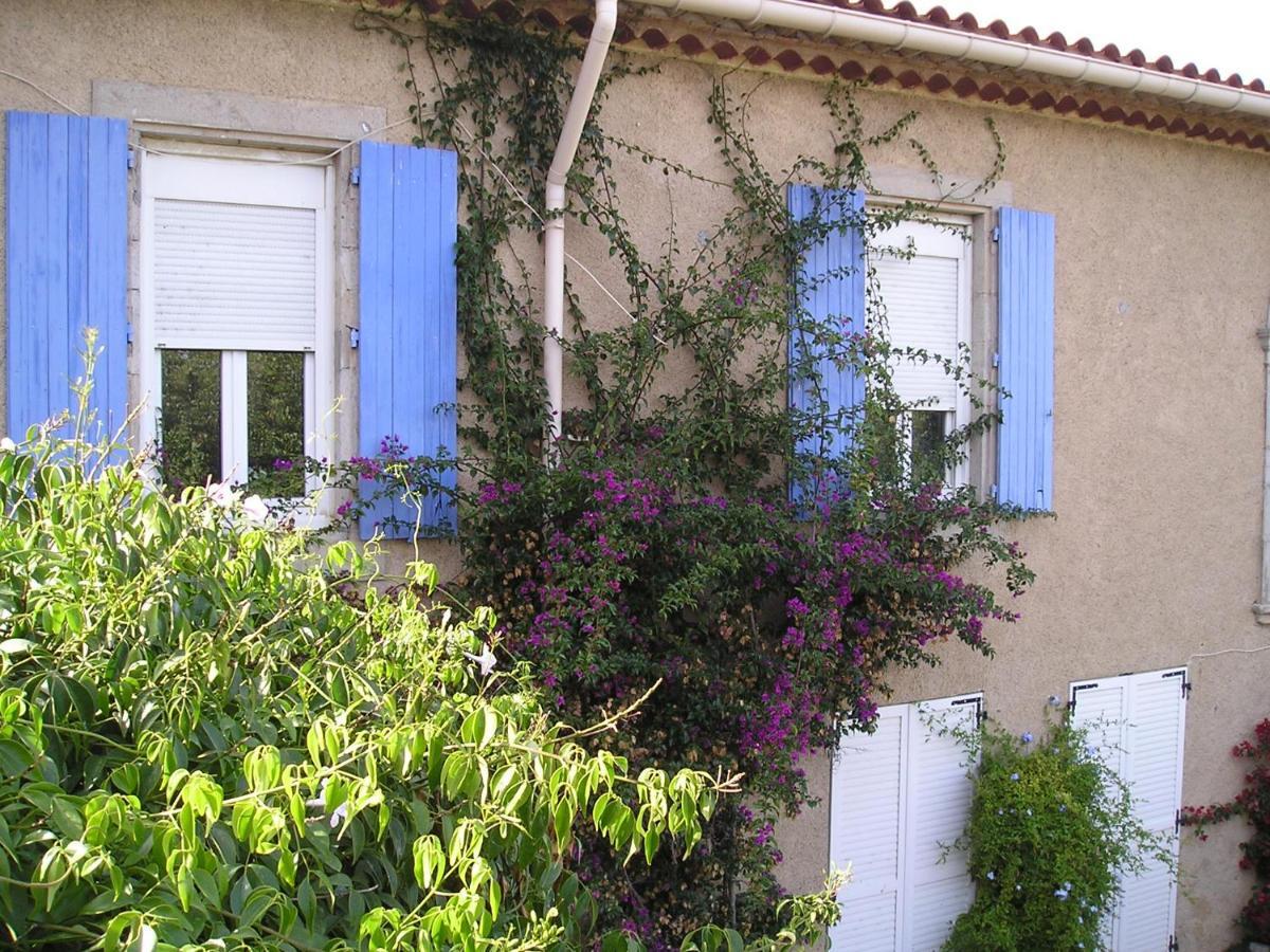 Gite Mamie Laurence Gruissan Dış mekan fotoğraf